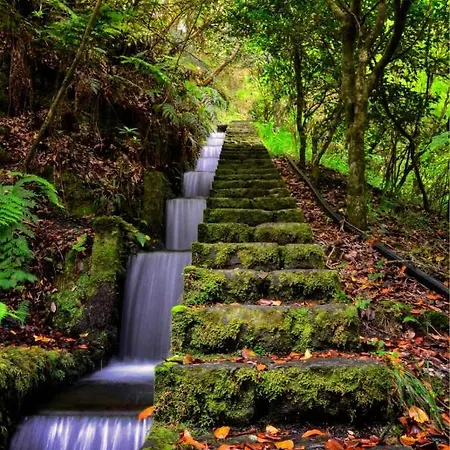 Feriehus Ocean Front *