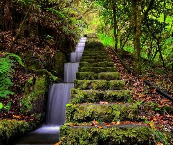 Feriehus Ocean Front *